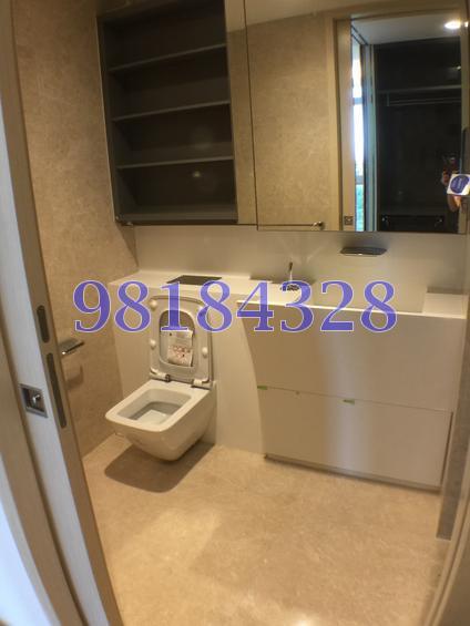 Cairnhill Nine (D9), Apartment #137978132